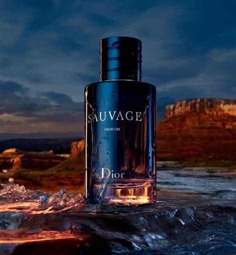 dior sauvage cost|dior sauvage 60ml best price.